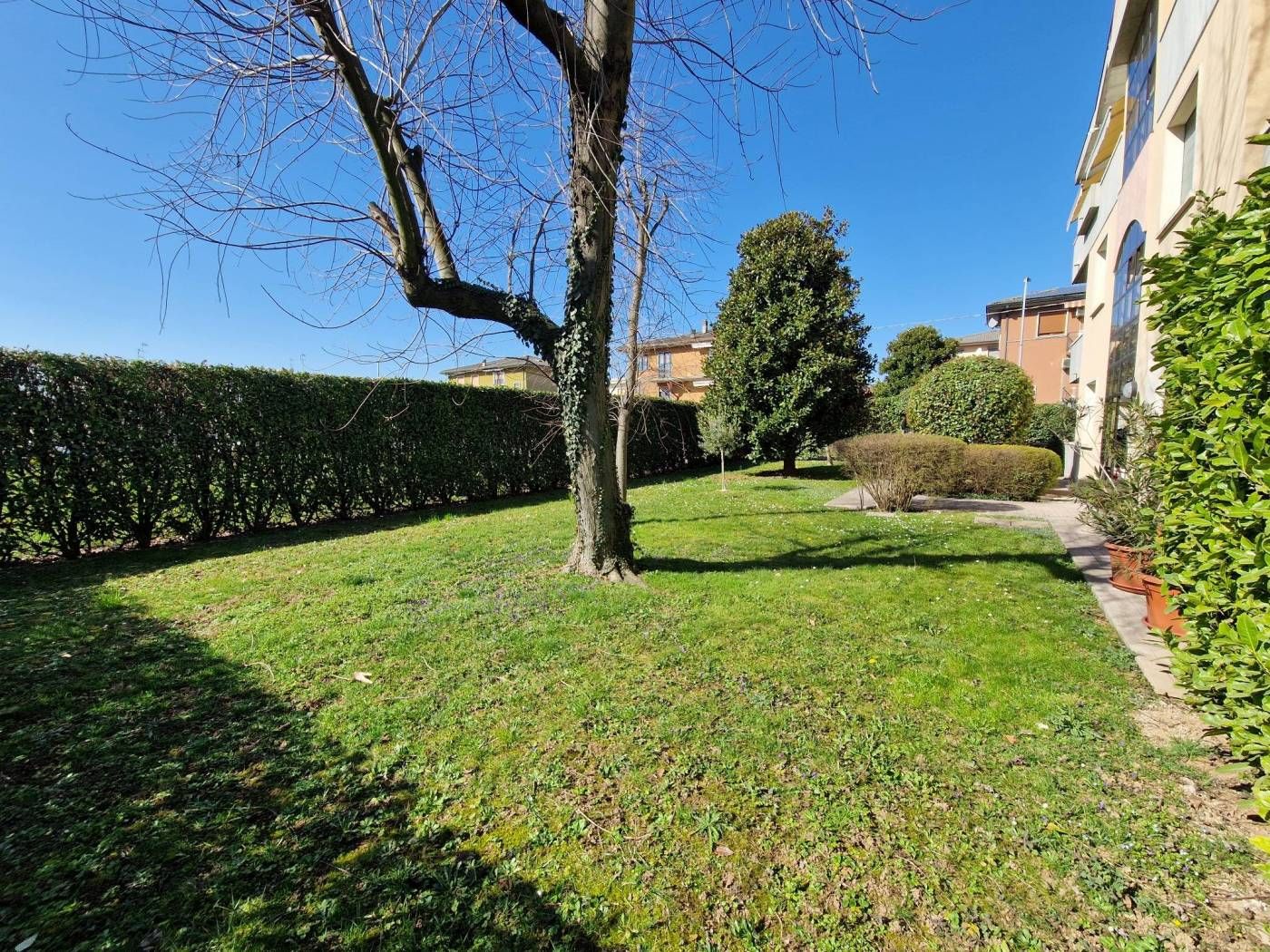 Vendita Appartamento Montecchio Maggiore