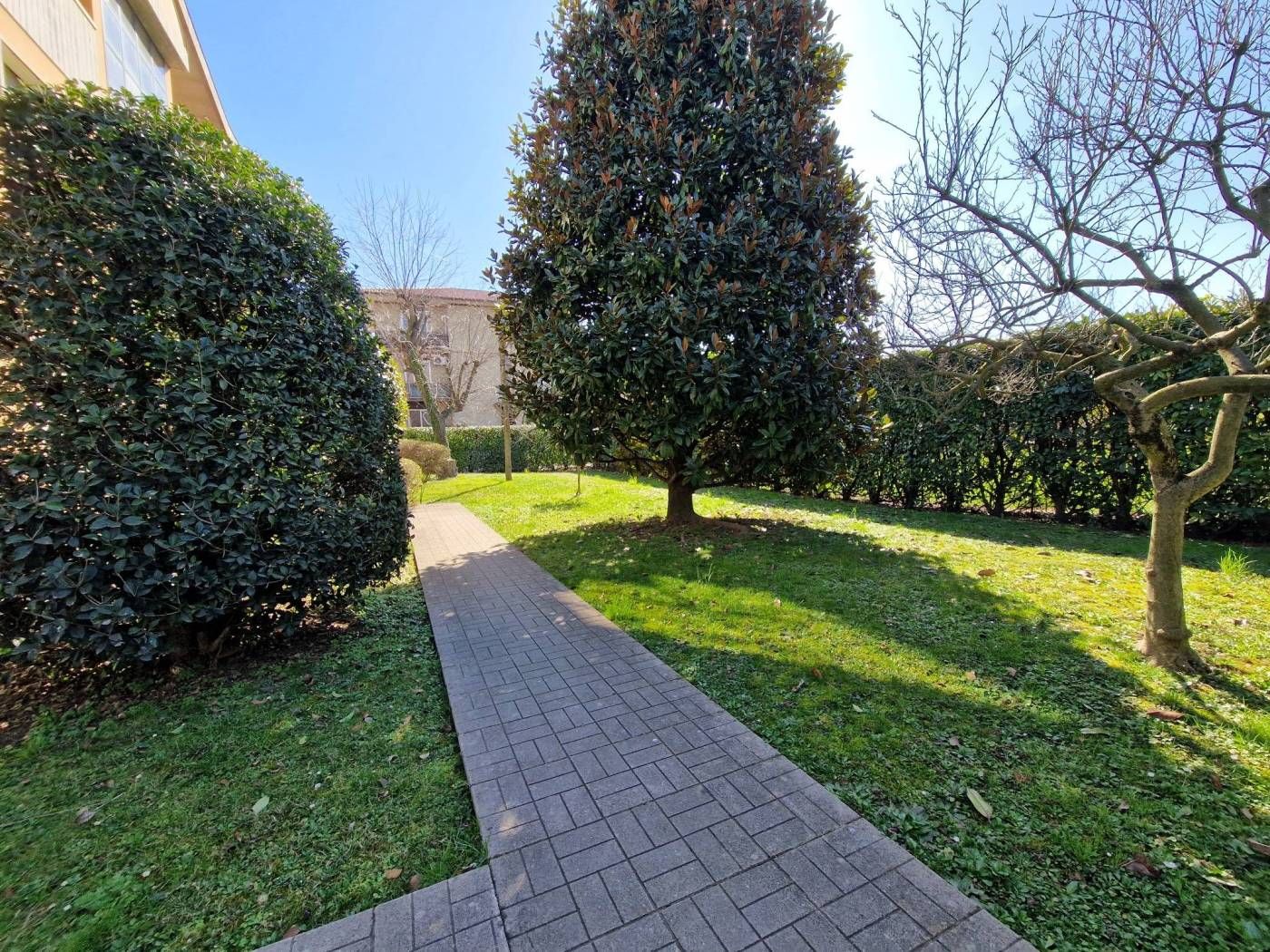 Vendita Appartamento Montecchio Maggiore